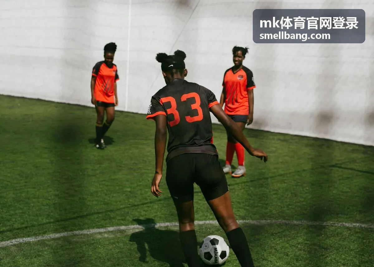 mk体育官网登录流程核对的操作界面展示