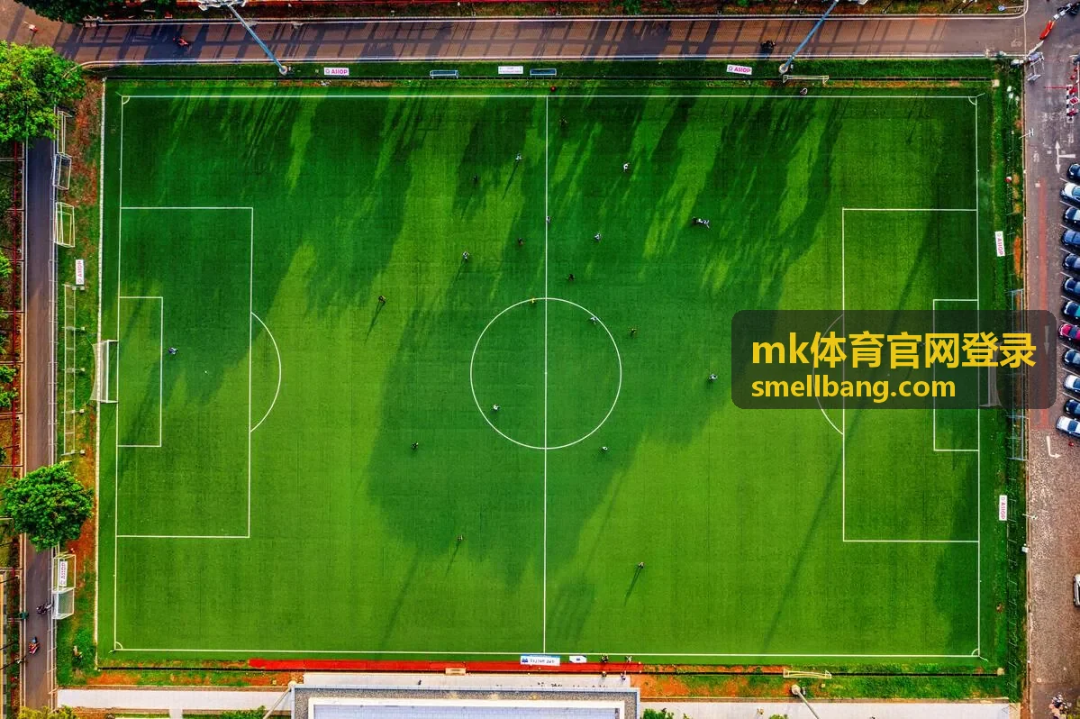 mk体育官网登录账号安全设置的界面展示