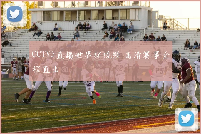 CCTV5直播世界杯视频 高清赛事全程直击
