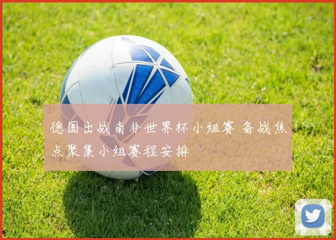 德国出战南非世界杯小组赛 备战焦点聚集小组赛程安排